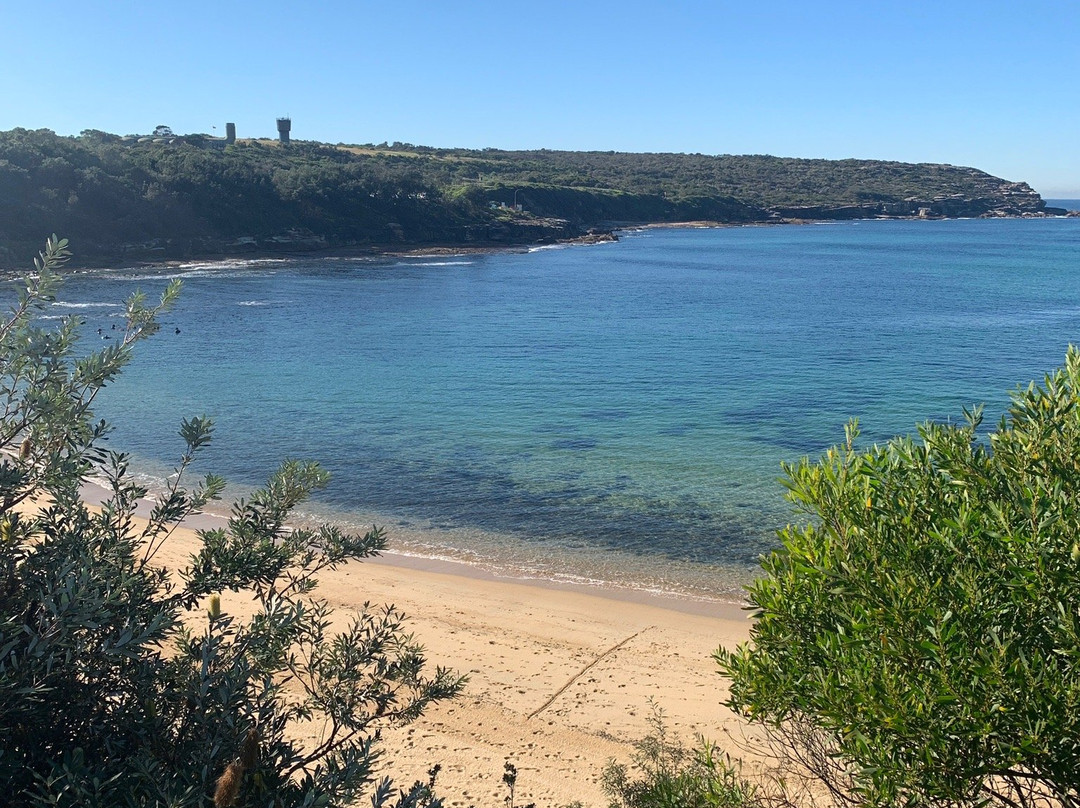 Malabar Headland National Park景点图片