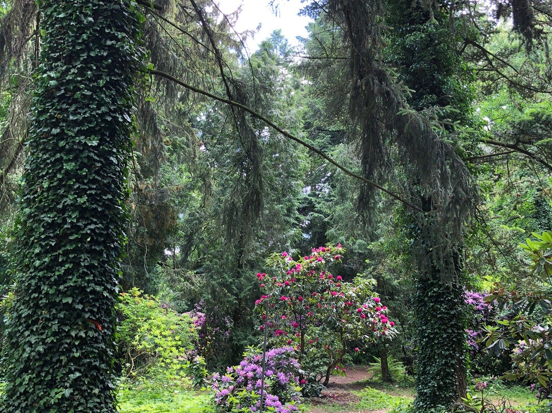 Arboretum Kórnickie景点图片