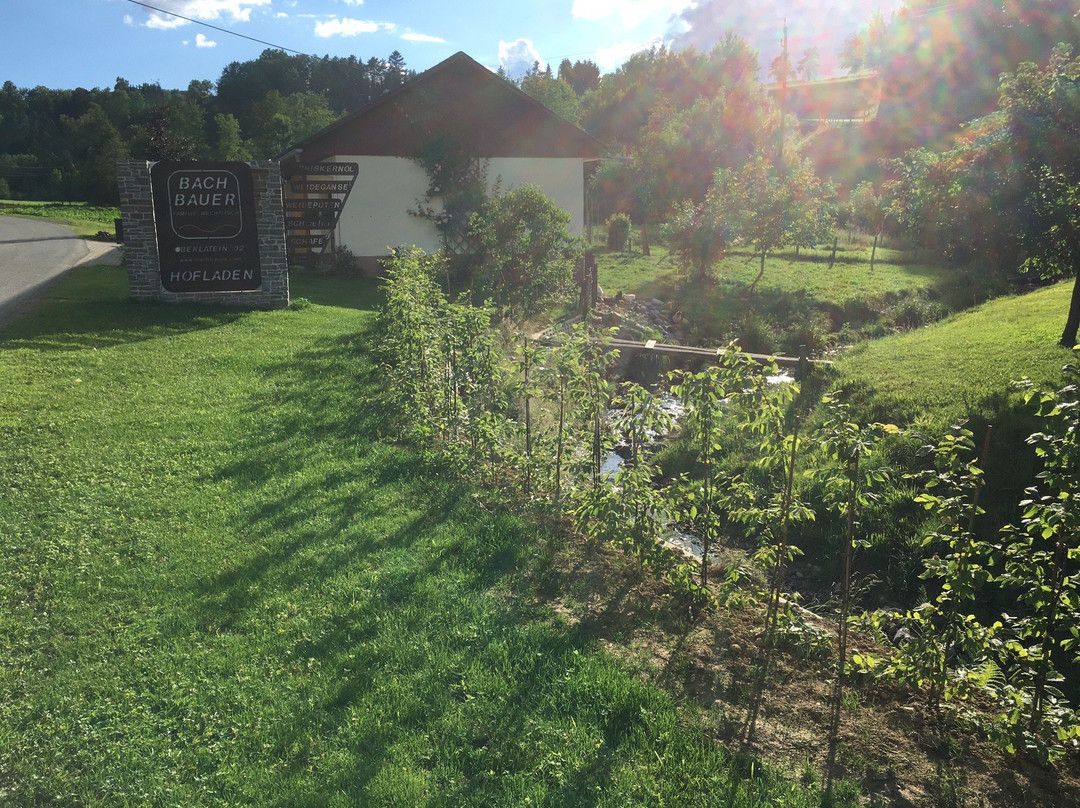 Bachbauer-Eibiswald必去景点