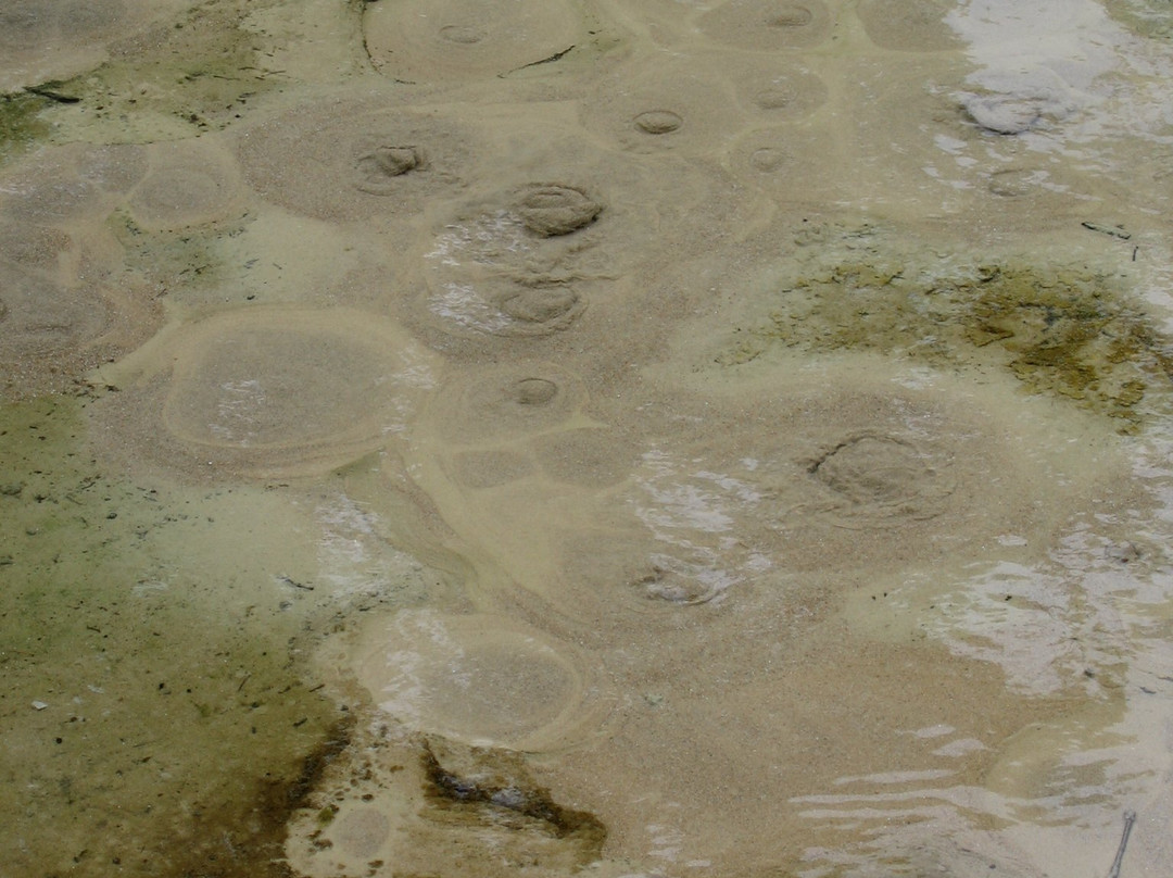 Pheasant Branch Creek Conservancy-Middleton必去景点