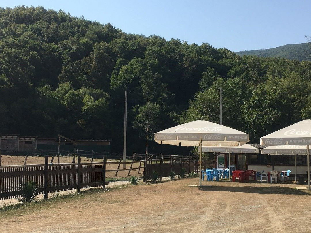 Конные прогулки "Жокей"-Gelendzhik必去景点