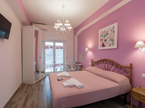 维奥莱特酒店主图