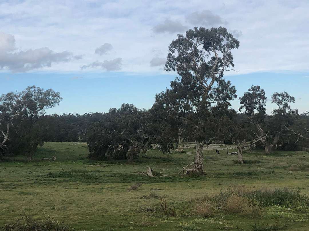 Woodlands Historic Park景点图片