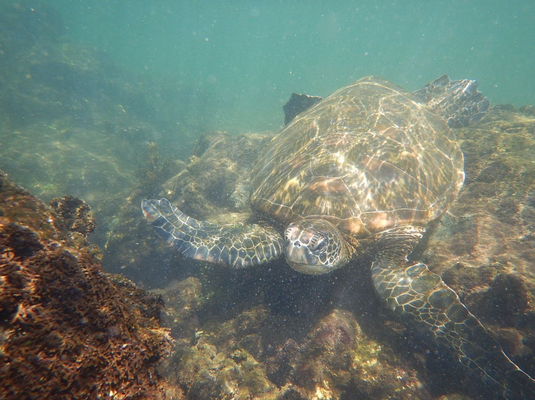 Kicker Rock-Puerto Baquerizo Moreno必去景点