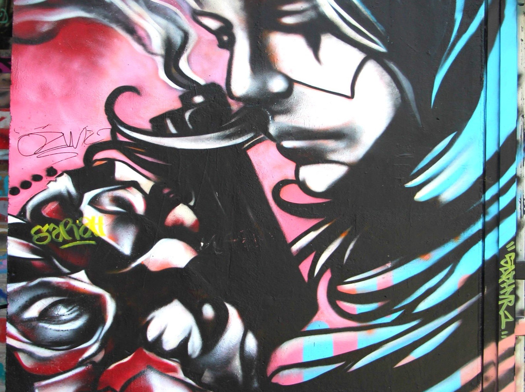 Le Lavomatik Arts Urbains景点图片