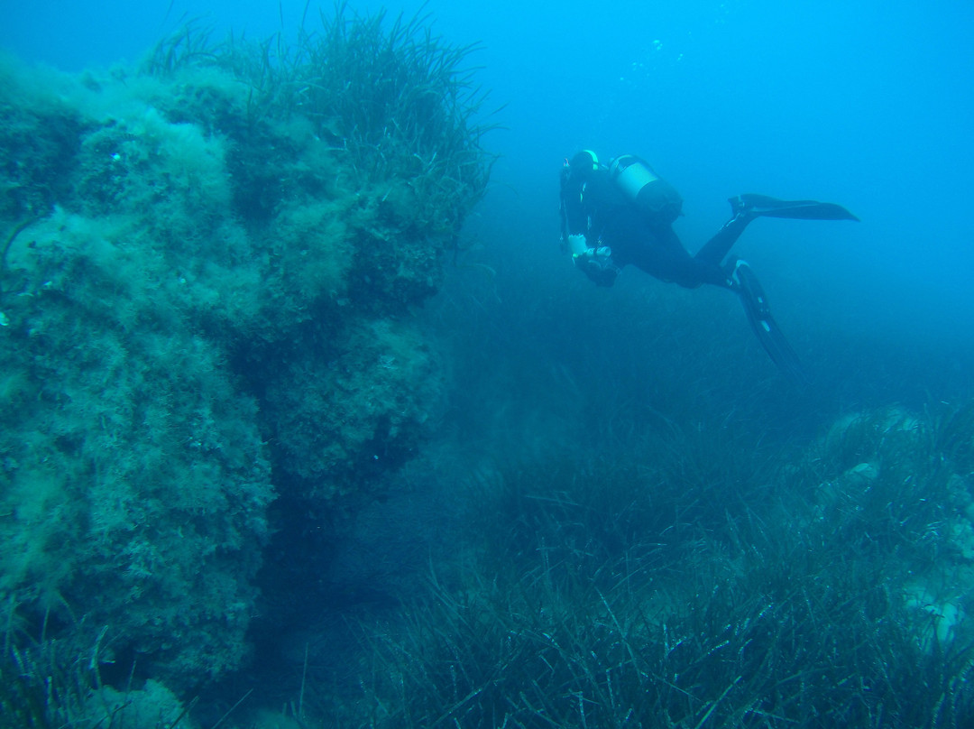 Ileia Dive Center-Pyrgos必去景点