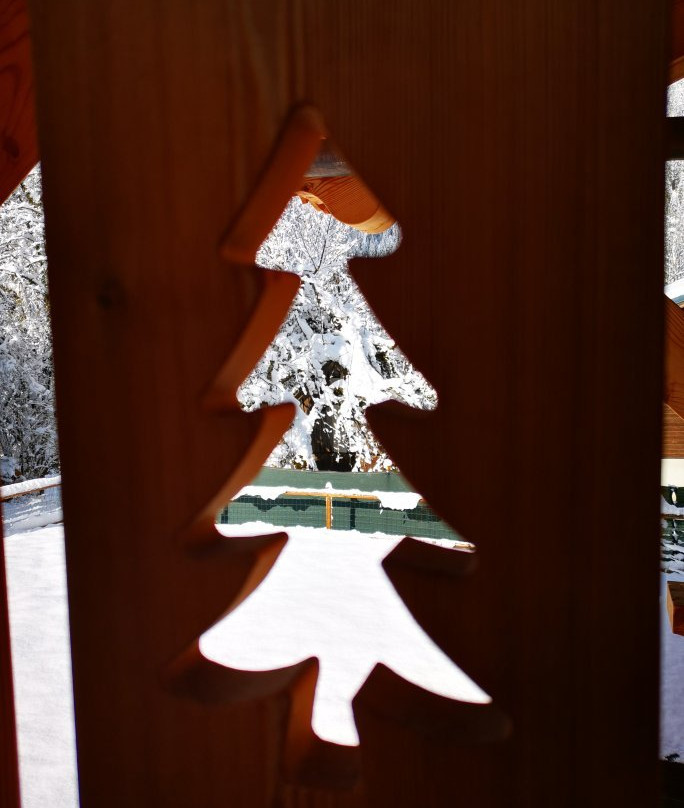 Alpine Descents, Chalet Carnauba主图