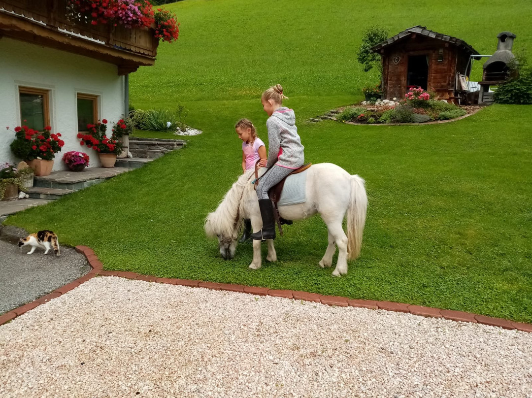 Weerberg酒店住宿-Ferienwohnungen Floachhof