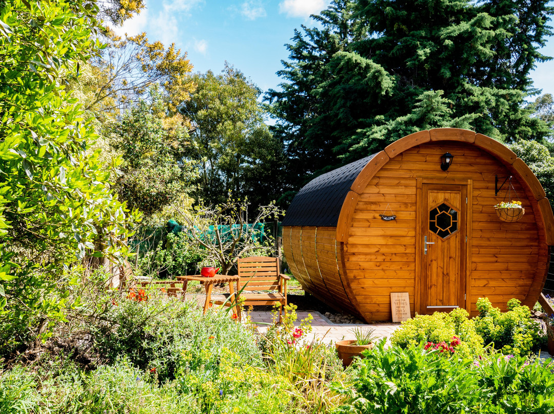 Marlborough Wine Barrel Cabins