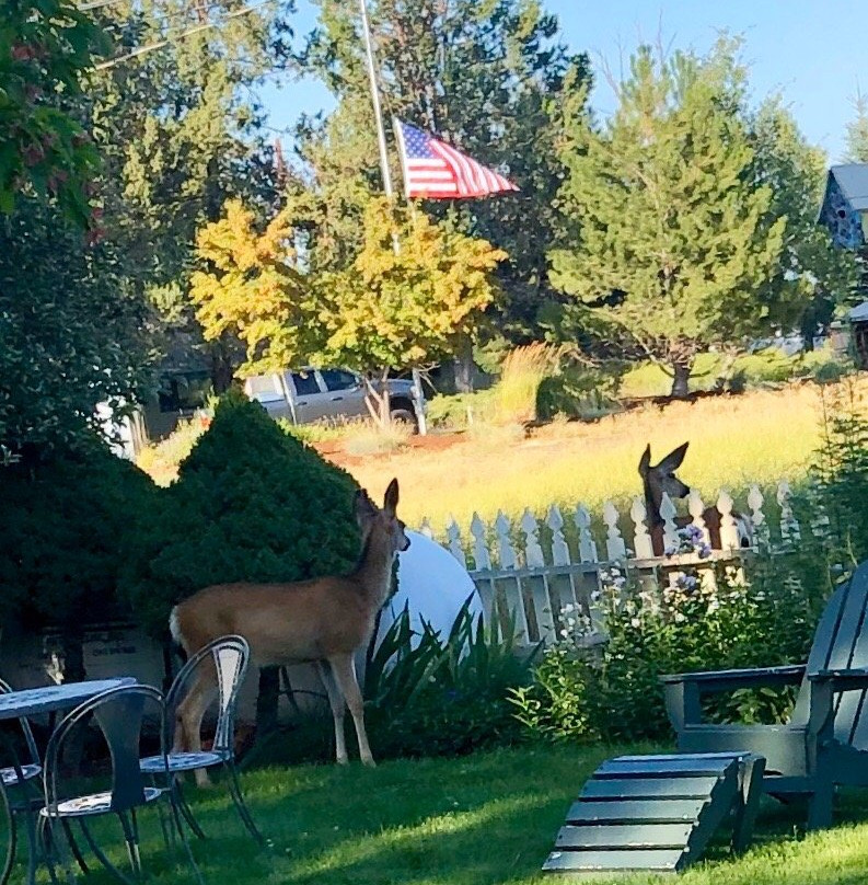 Left Coast Lodge主图