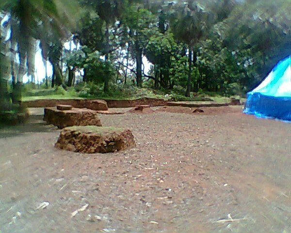 Sopara Stupa Site景点图片