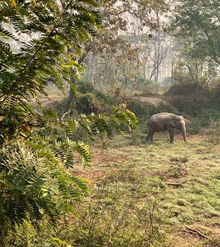 Elephant Valley Thailand-清莱必去景点