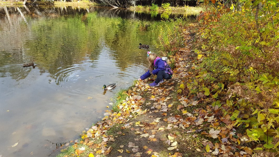 Pond Hill Farm Winery-Harbor Springs必去景点