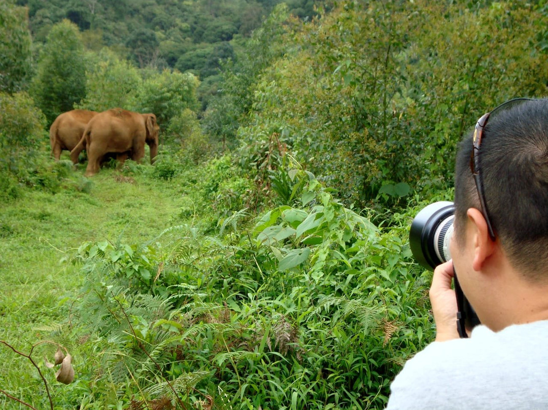 Gavi Forest-帖可迪必去景点