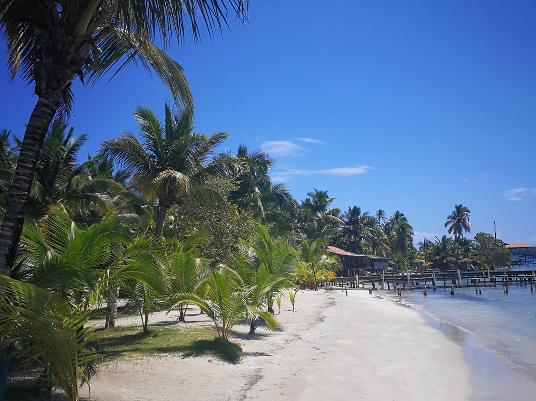 Dona Mara Beach Hotel主图