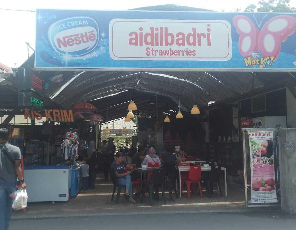 Aidilbadri Strawberries-丹那拉塔必去景点