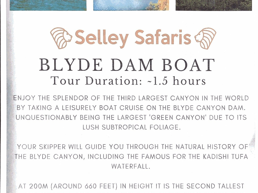 Selley Safaris景点图片