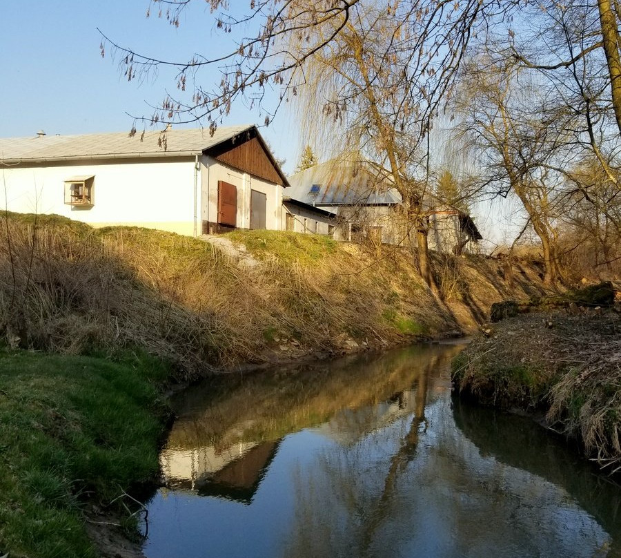 Sandomierska Winery景点图片