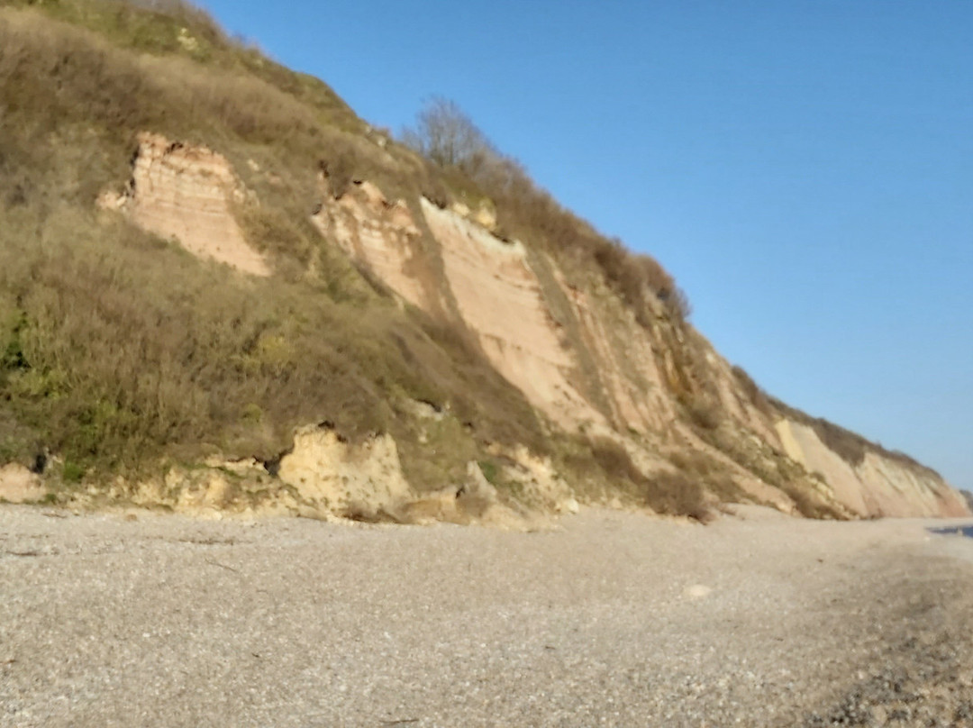 Haven Cliffs Naturist Beach景点图片