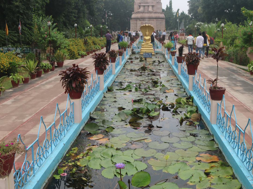 Thai Temple景点图片