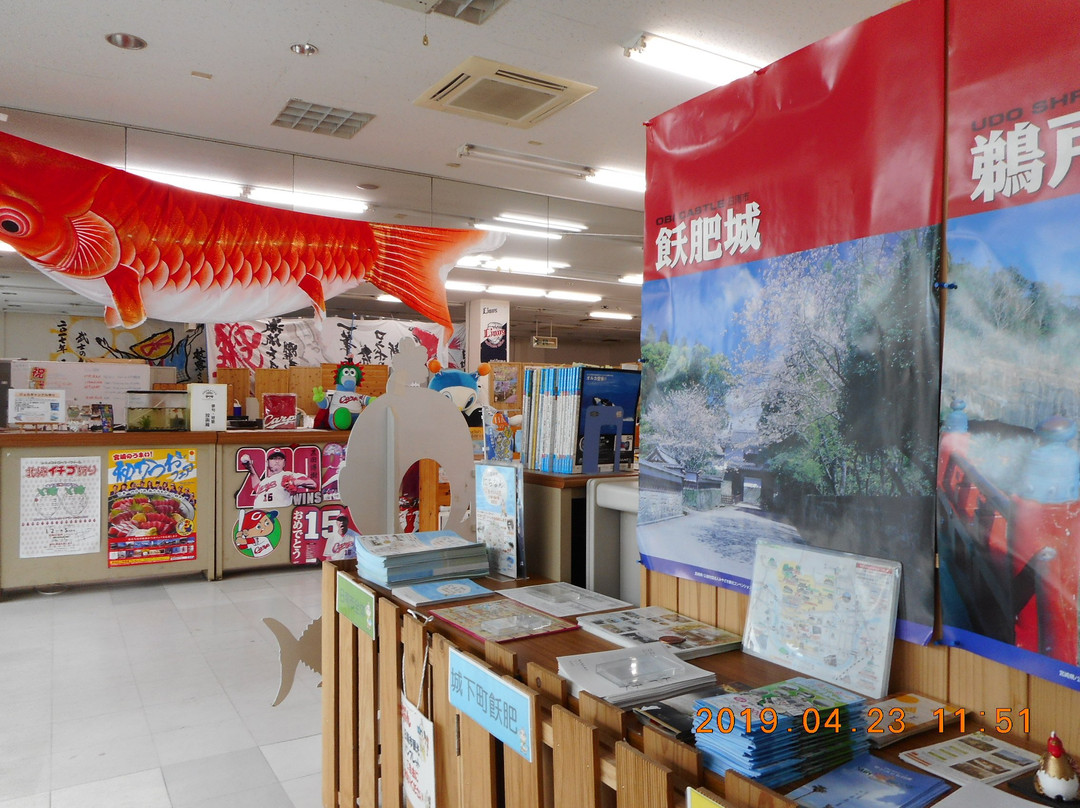 Nichinan City Tourist Information景点图片
