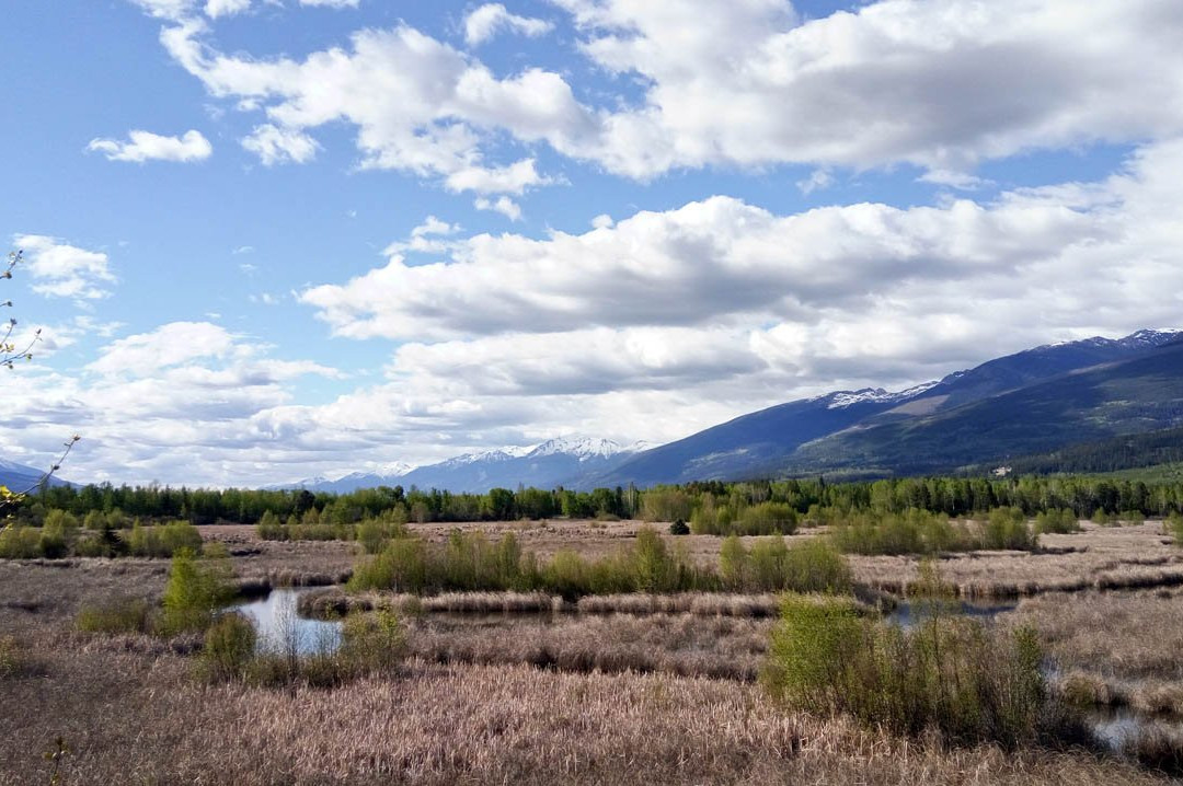 R.W. Starratt Wildlife Sanctuary-维尔蒙特必去景点
