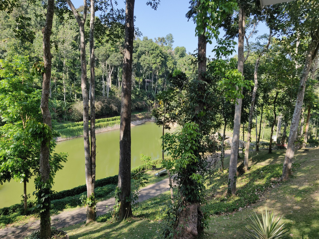 Amaana Plantation Resort主图