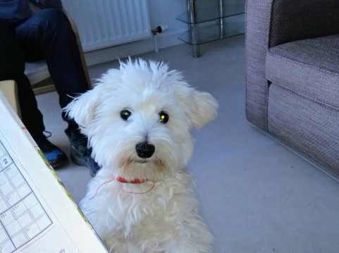 樱桃山旅馆主图