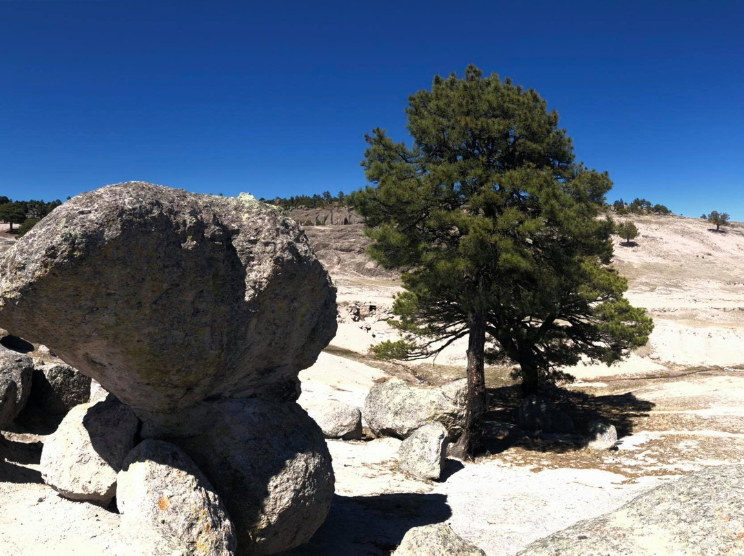 Parque de Aventura Barrancas del Cobre景点图片