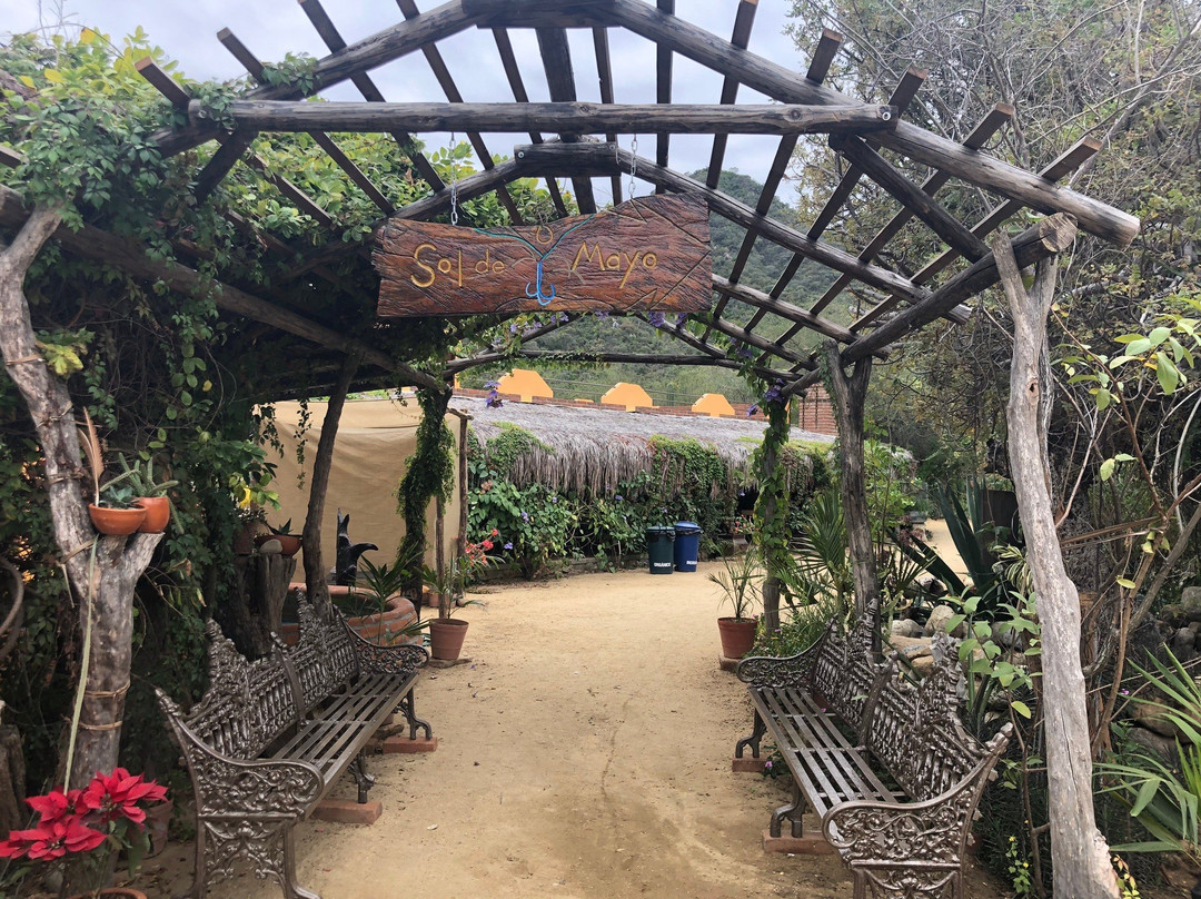 Rancho Ecologico Sol de Mayo景点图片