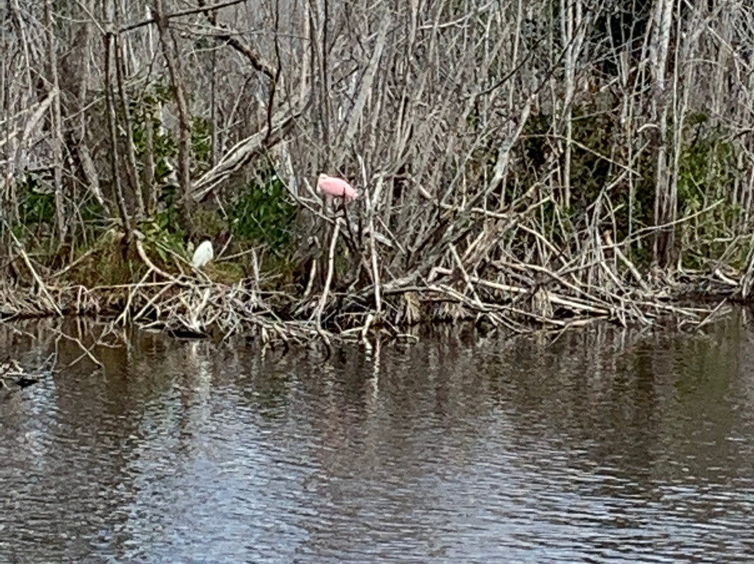 Flamingo Visitor Center-大沼泽国家公园必去景点