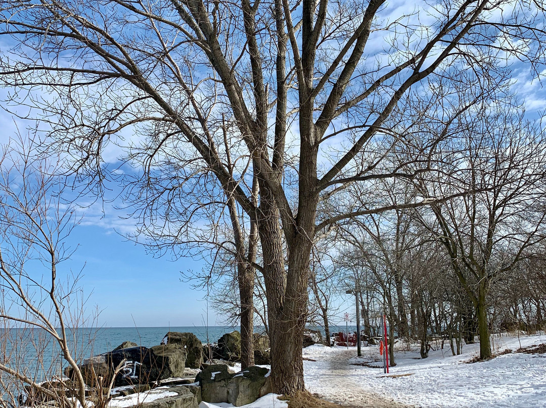 Woodbine Park景点图片