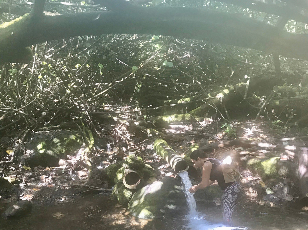 Makaleha Falls Trail-卡帕阿必去景点