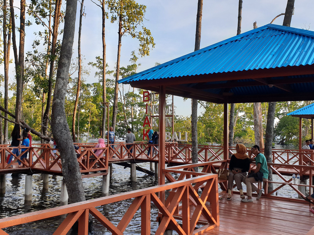 Ruar Mangrove Forest Park-Biak必去景点