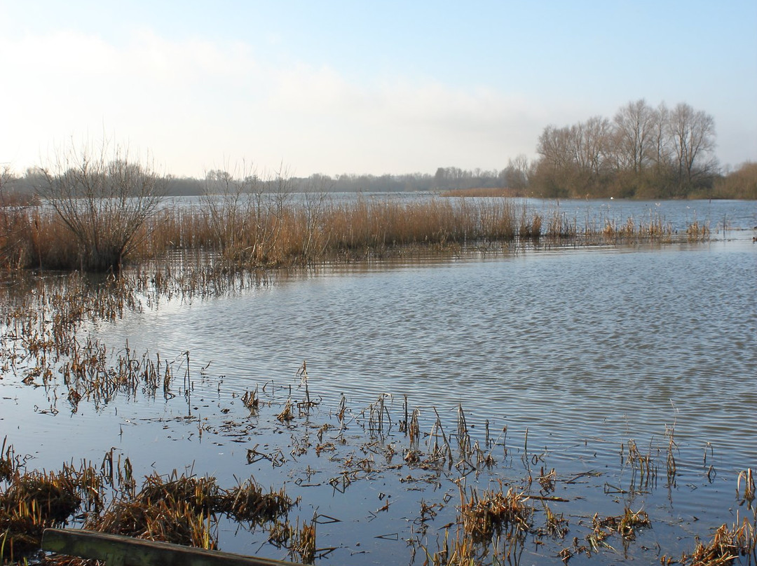 Summer Leys Nature Reserve景点图片