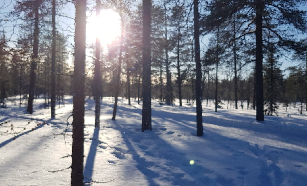 Arctic Horizons-Luosto必去景点