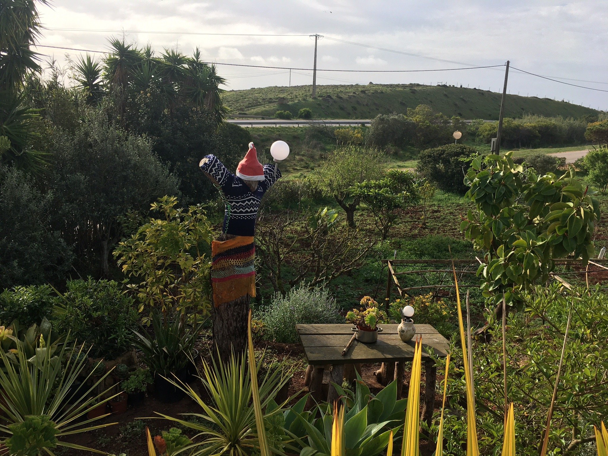 Vivenda Familia Pedro-官方