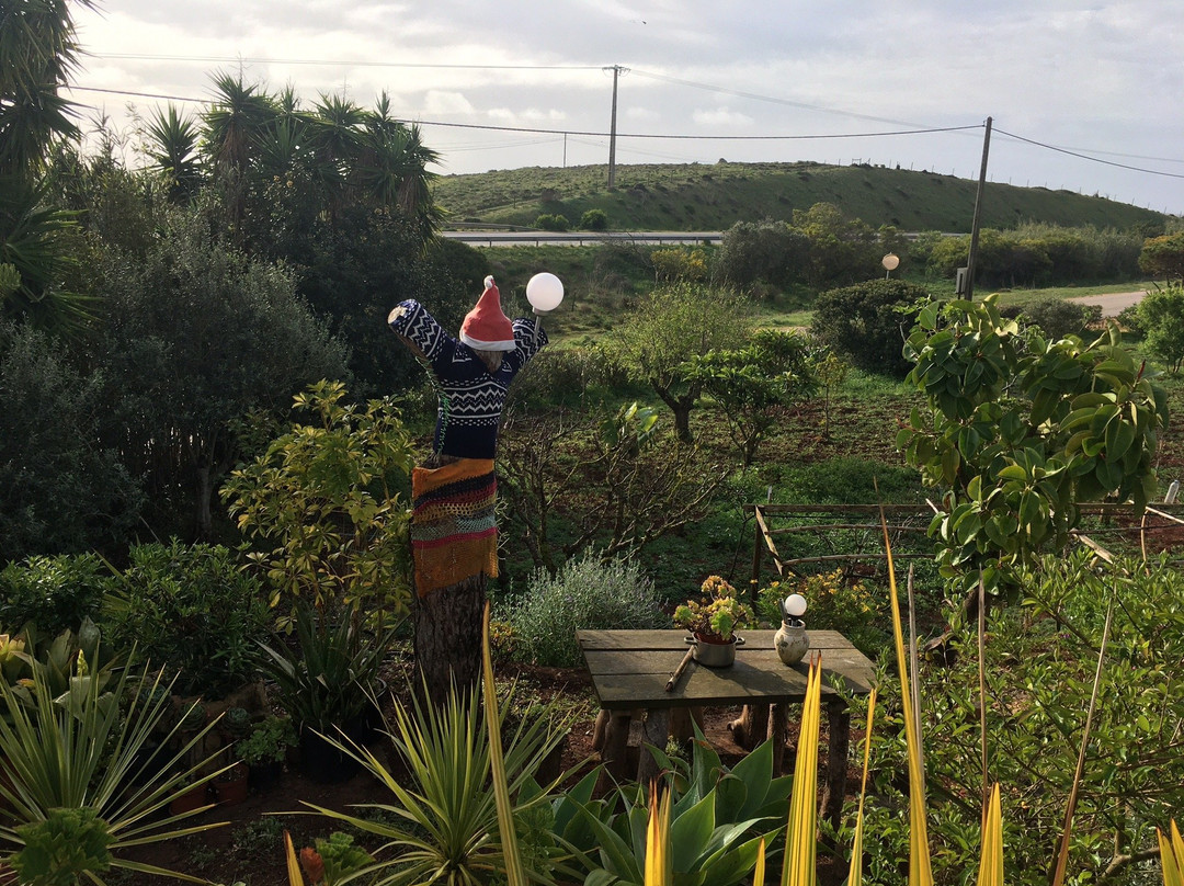 Vivenda Familia Pedro主图