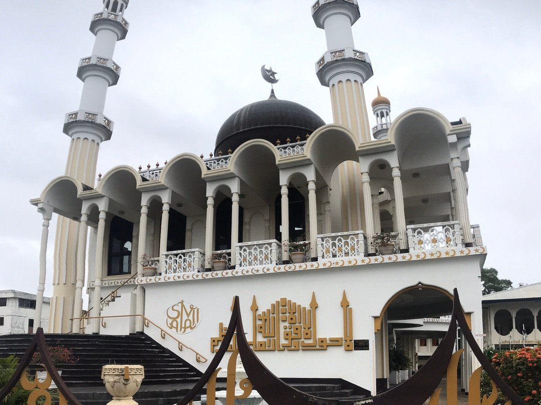 Suriname City Mosque-帕拉马里博必去景点