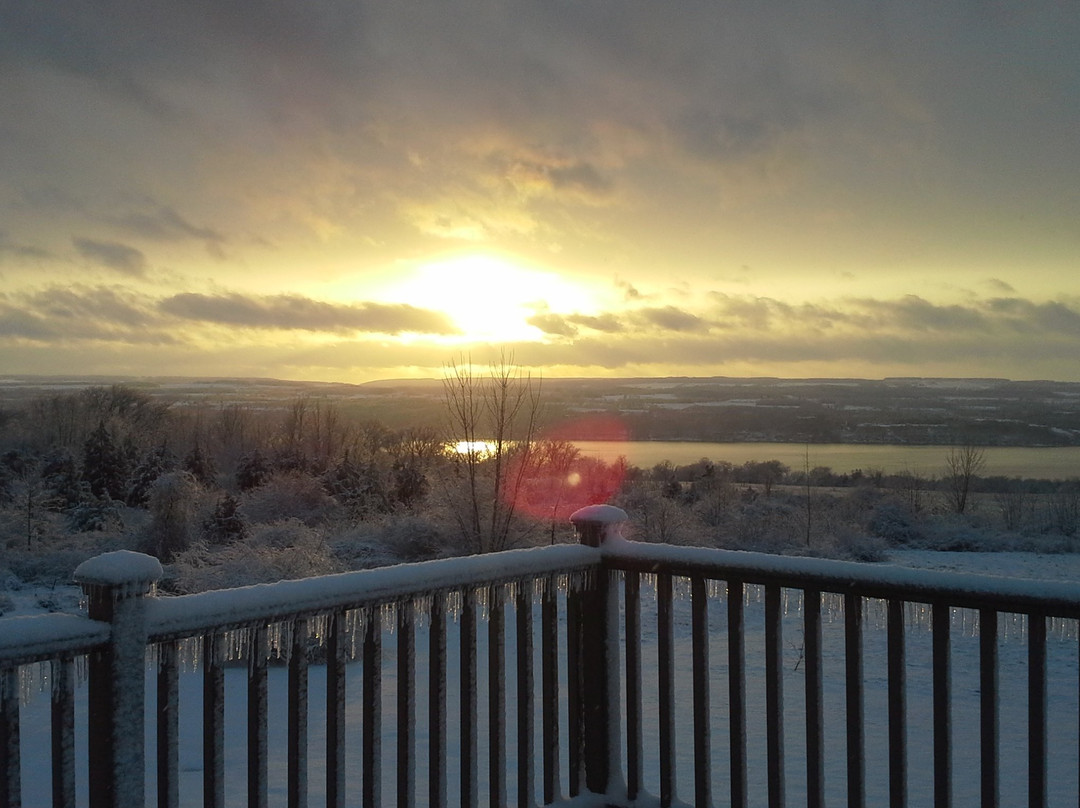 The Fox and the Grapes Bed and Breakfast主图