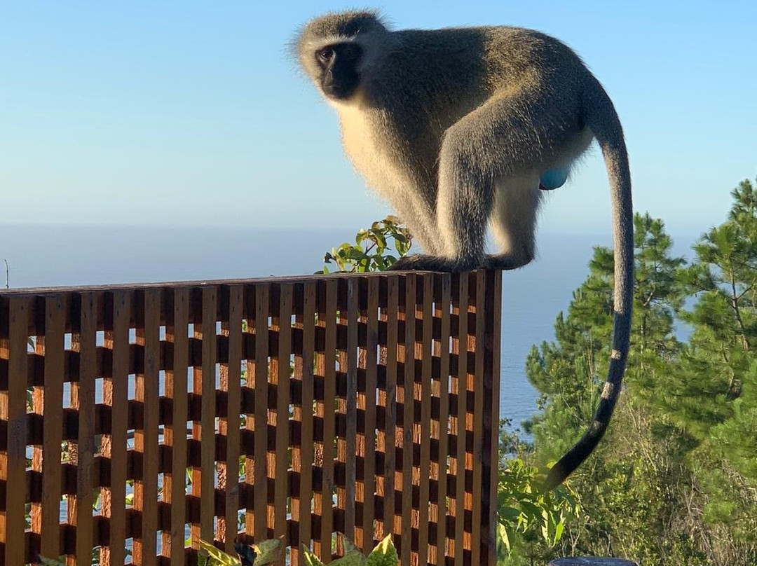 弗努尔瑞小屋旅馆主图
