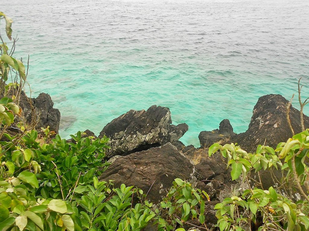 Apo Island View Deck景点图片