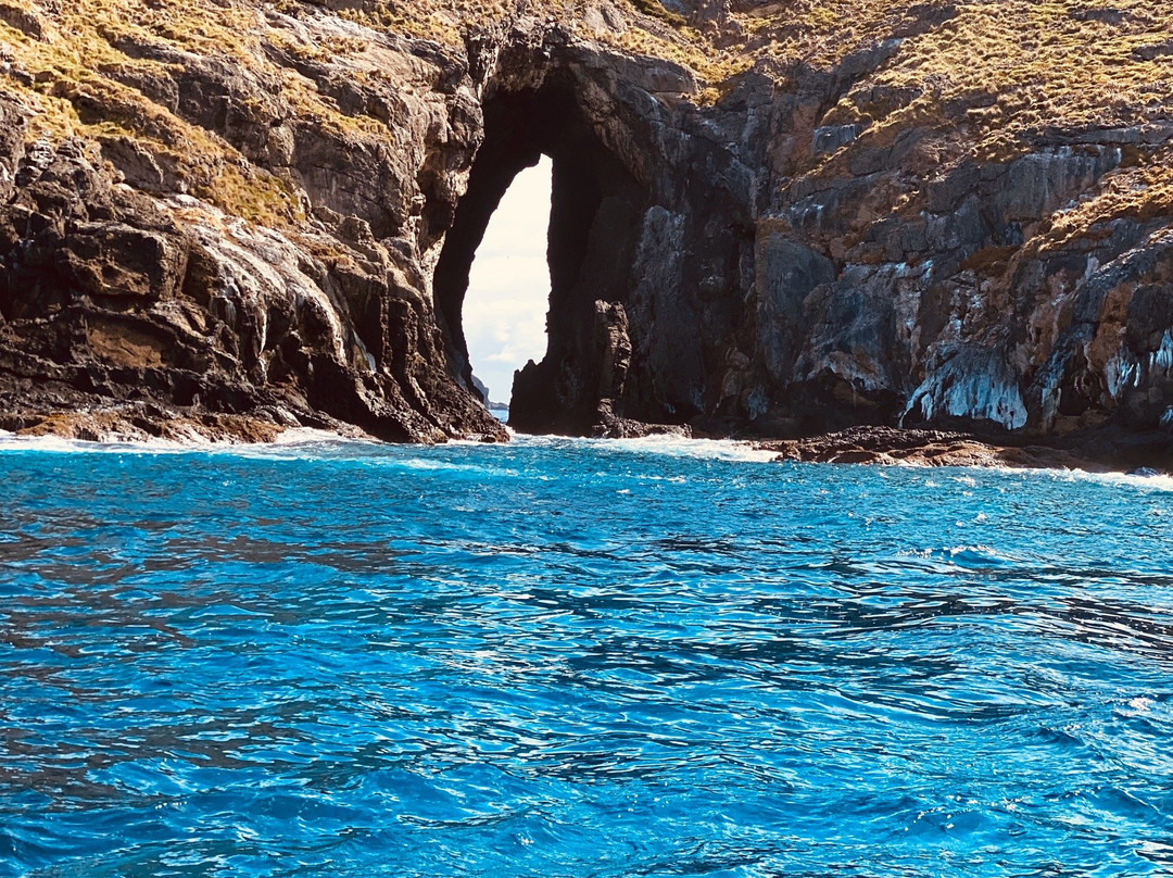 Ball's Pyramid-豪勋爵群岛必去景点