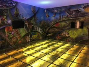 Museo della Biodiversita景点图片
