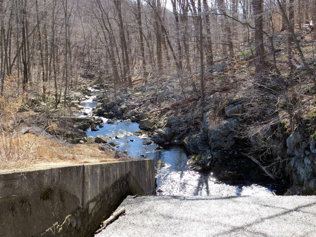 Schooleys Mountain County Park景点图片