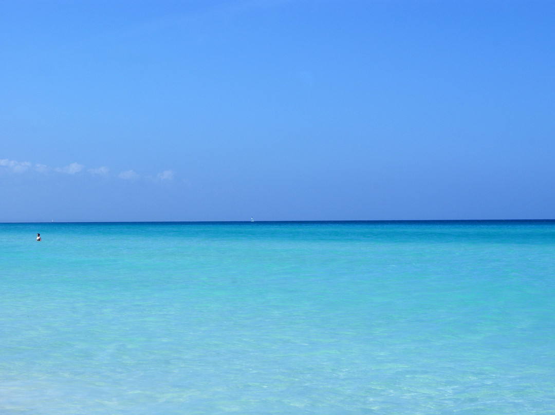 Starfish Las Palmas主图