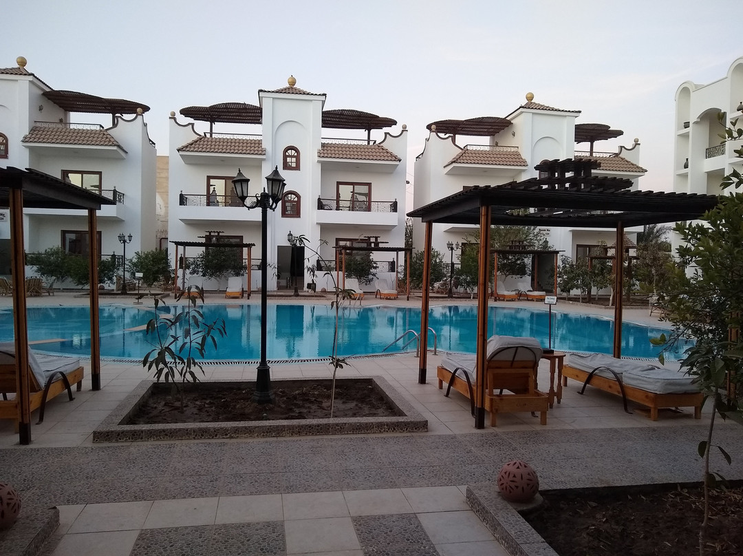 House of Life Abydos主图