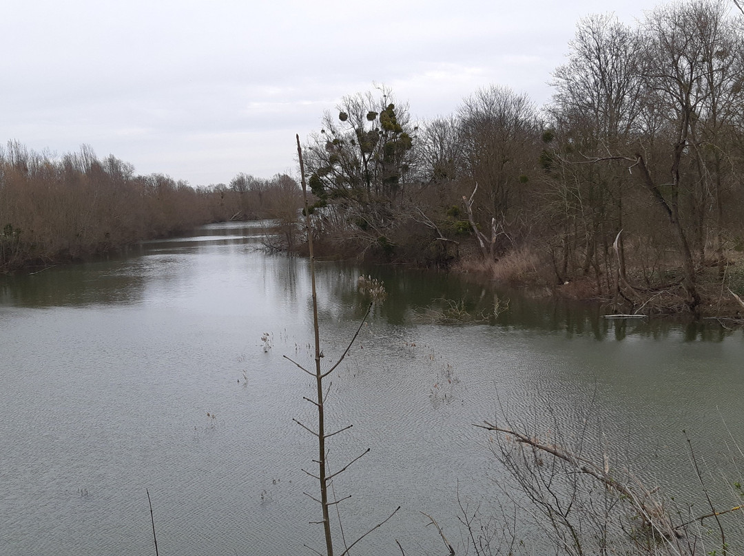 Parc Du Peuple De L'Herbe景点图片