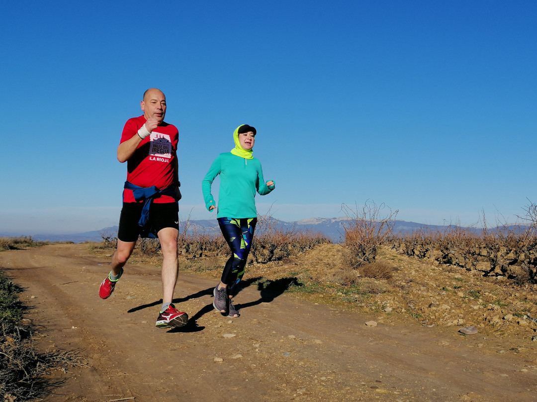 RunRioja-洛格罗尼奥必去景点