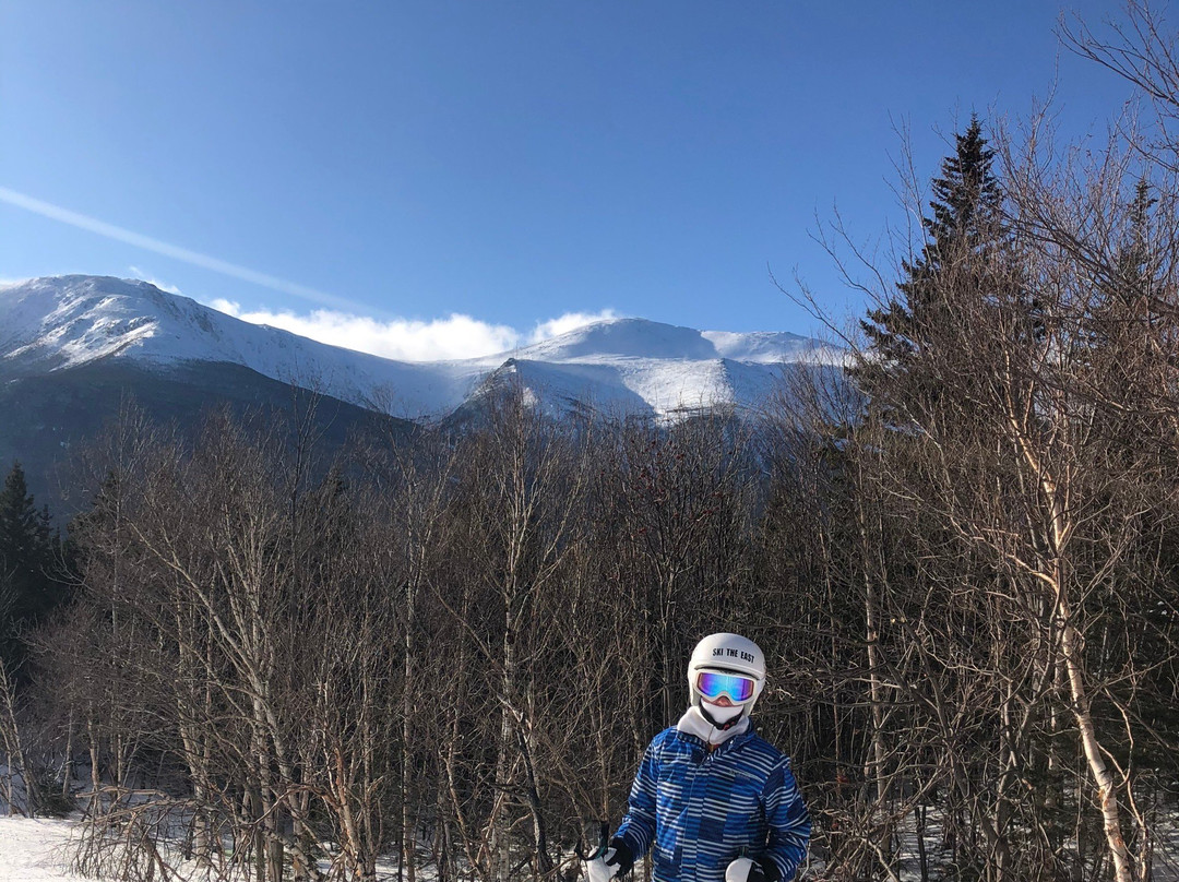 Wildcat Mountain-杰克逊必去景点